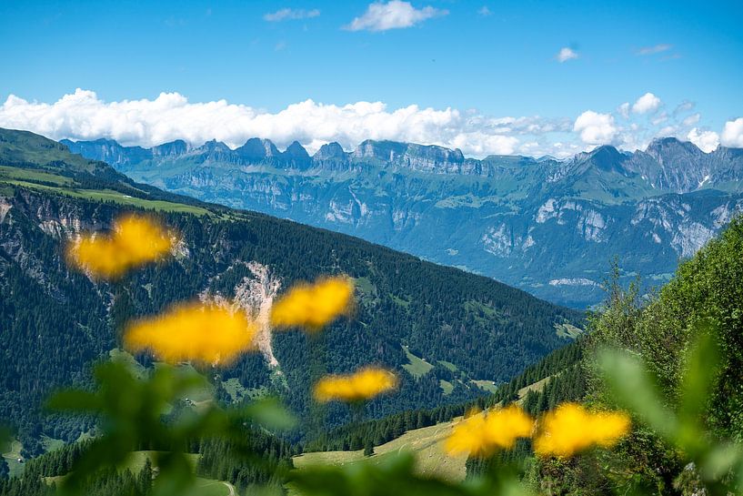 Flowery view of the Swiss Alps by Leo Schindzielorz