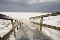 Winter in Holland 2018 van Erika Schouten thumbnail