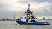 Fairplay-35