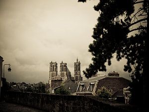 LAON