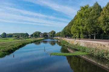 Mooi uitzicht vanuit Den Bosch over de groene weilanden van Bosche Broek