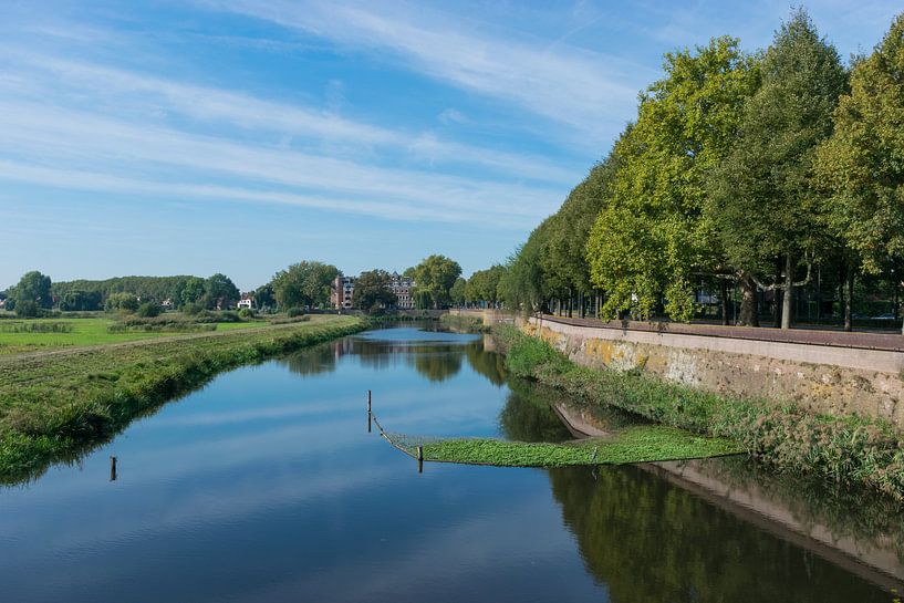 Mooi uitzicht vanuit Den Bosch over de groene weilanden van Bosche Broek van Patrick Verhoef