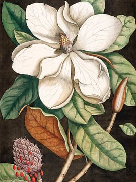 Bloemen abstract botanisch schilderij van Kjubik