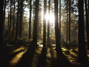 Licht und Schatten von Christina Bauer Photos