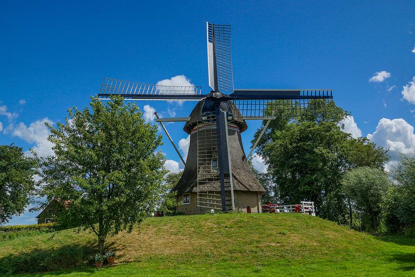 Molen de Reiger van Wolbert Erich
