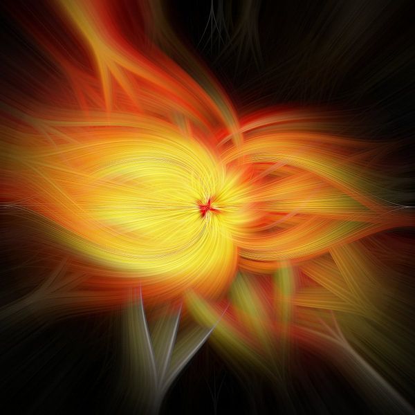 Fleur de lumière. Art abstrait géométrique coloré en orange et jaune. par Dina Dankers