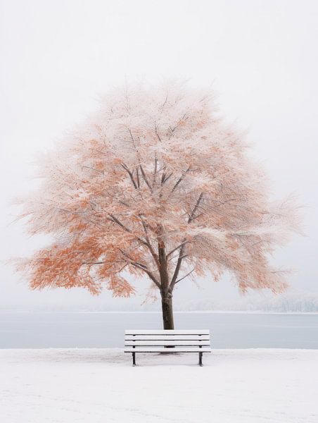 Minimalistische Winterbeelden van Eva Lee