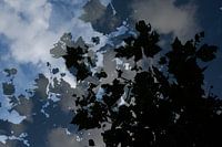 Silhouette von Blättern gegen einen blauen bewölkten Himmel