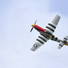 Nordamerikanische P-51 Mustang 'Damn Yankee' mit D-Day-Streifen von Ramon Berk