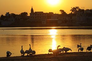 Zonsondergang aan het Pushkar meer