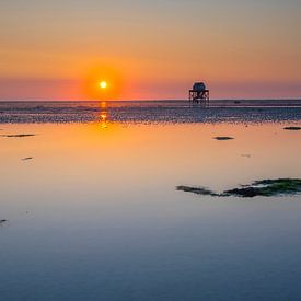 Englischer Teller bei Sonnenuntergang von Richard Gilissen