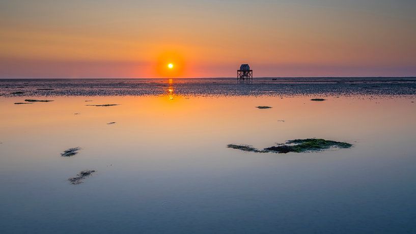 Englishman Plate at Sunset by Richard Gilissen