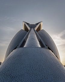 Bug architectural : Les Arts à Valence sur Marco Schep