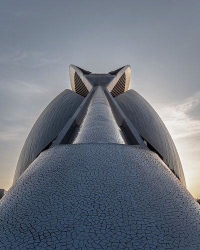 Architectural Bug: Les Arts in Valencia by Marco Schep