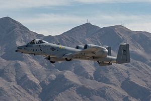 Eine Fairchild Republic A-10 Thunderbolt II hebt von der Nellis Air Force Base während der Aviation 