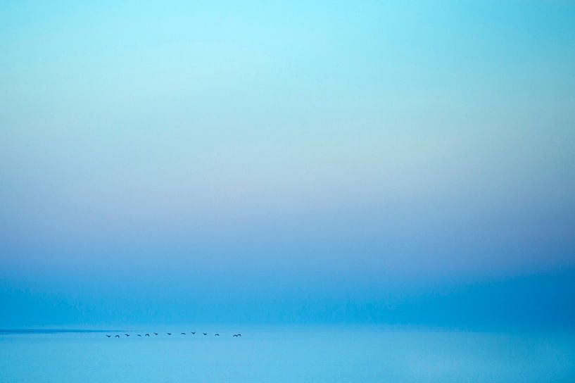 Vögel fliegen bei Sonnenuntergang über dem Wattenmeer zwischen Lauwersoog und Schiermonnikoog von Marcel van Kammen