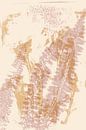 Abstracte botanische kunst. Bloemen en varens. van Dina Dankers thumbnail