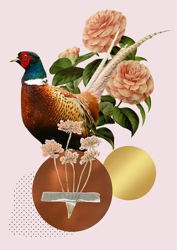 Fazant in vintage style