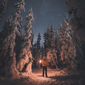 Winterlandschap van Markus Schulz