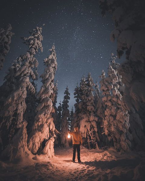Winterlandschap van Markus Schulz