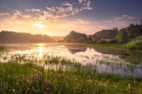 Morning hour in the Harz Mountains