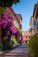 Straße mit Blumen in der französischen Stadt Saint Tropez