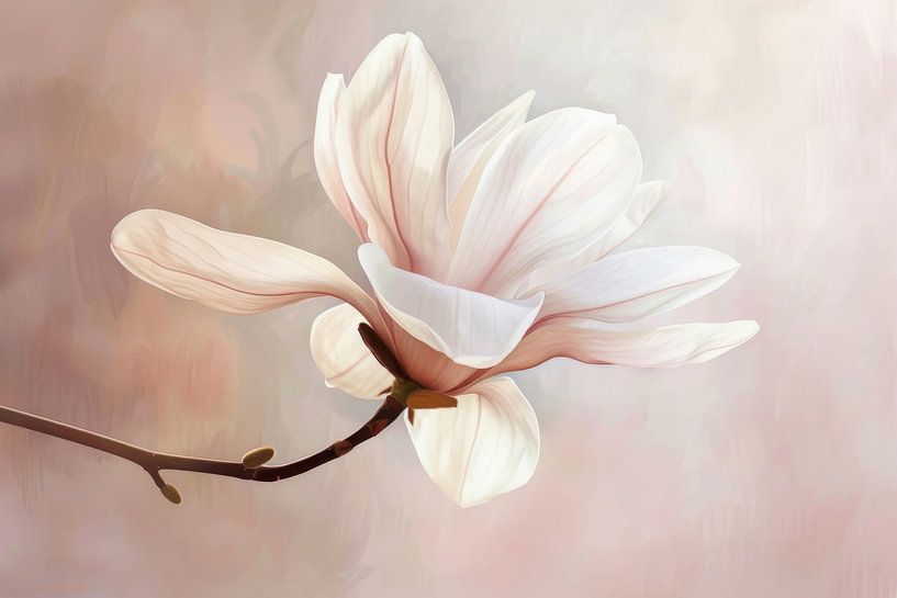 Zarter Magnolienzauber von Poster Art Shop