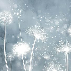 Dreamy Dance of Dandelions in the Wind by Color Square