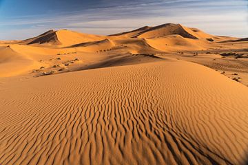 Sahara bij Merzouga, Marokko van Peter Schickert