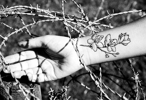 Hand in Stacheldraht