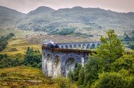 Jacobit (Harry Potter) Zug in Glenfinnan, Schottland von Mart Houtman Miniaturansicht