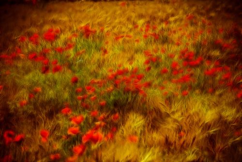 champ de flammes sur Jo Beerens