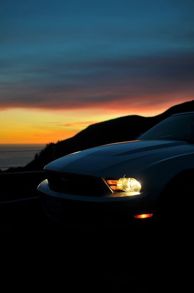 Mustang du soir par Wouter Goedvriend
