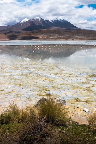 The Andes mountains at its most beautiful by Jelmer Laernoes