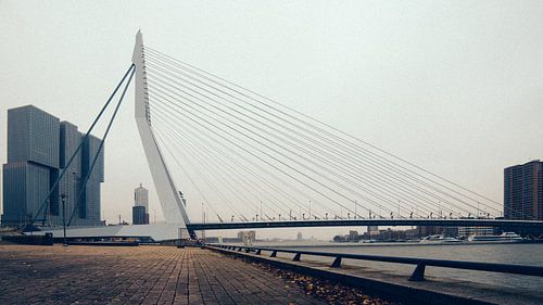 Die Erasmusbrücke