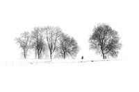 Winter in de Polder