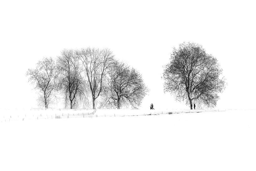 Winter in de Polder van Marcel Samson