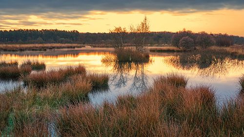 Zonsopkomst in het Nationaal Park Dwingelderveld