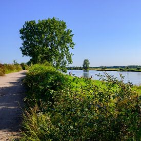Maasheggen Landscape Wall decoration - River Landscape NL by Kristof Leffelaer