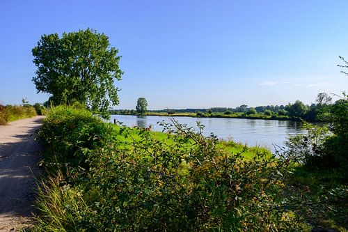 Maasheggen Landschap Wanddecoratie - Rivierlandschap NL