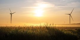 Wind turbines in the sun and morning fog by Erwin Pilon