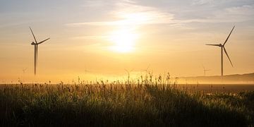 Windturbines in de zon en ochtendmist van Erwin Pilon