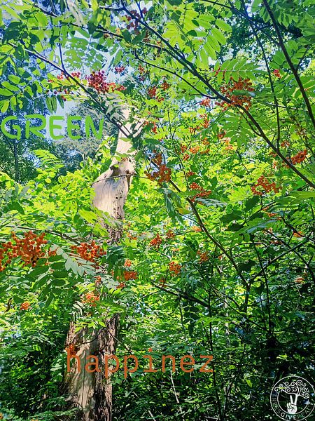 Green Happinez by treesgivepeace.nl