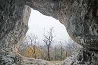 View from the cave