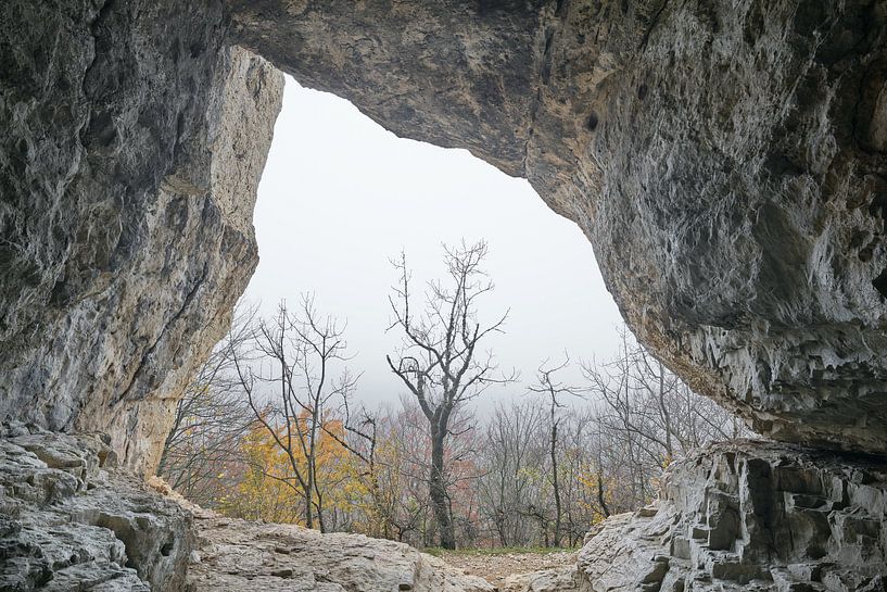 Vue de la grotte par Max Schiefele