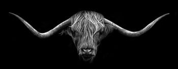 Schottischer Highlander