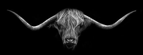 Scottish Highlander by Karel Ton