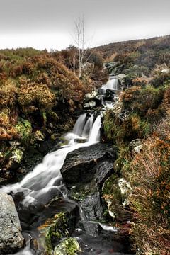 Chute d'eau de Wicklow sur BL Photography