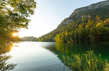 Zonsopgang in de zomer aan de Thumsee bij Bad Reichenhall. van Jiri Viehmann