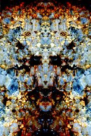 Danigo by David Christophe De santis